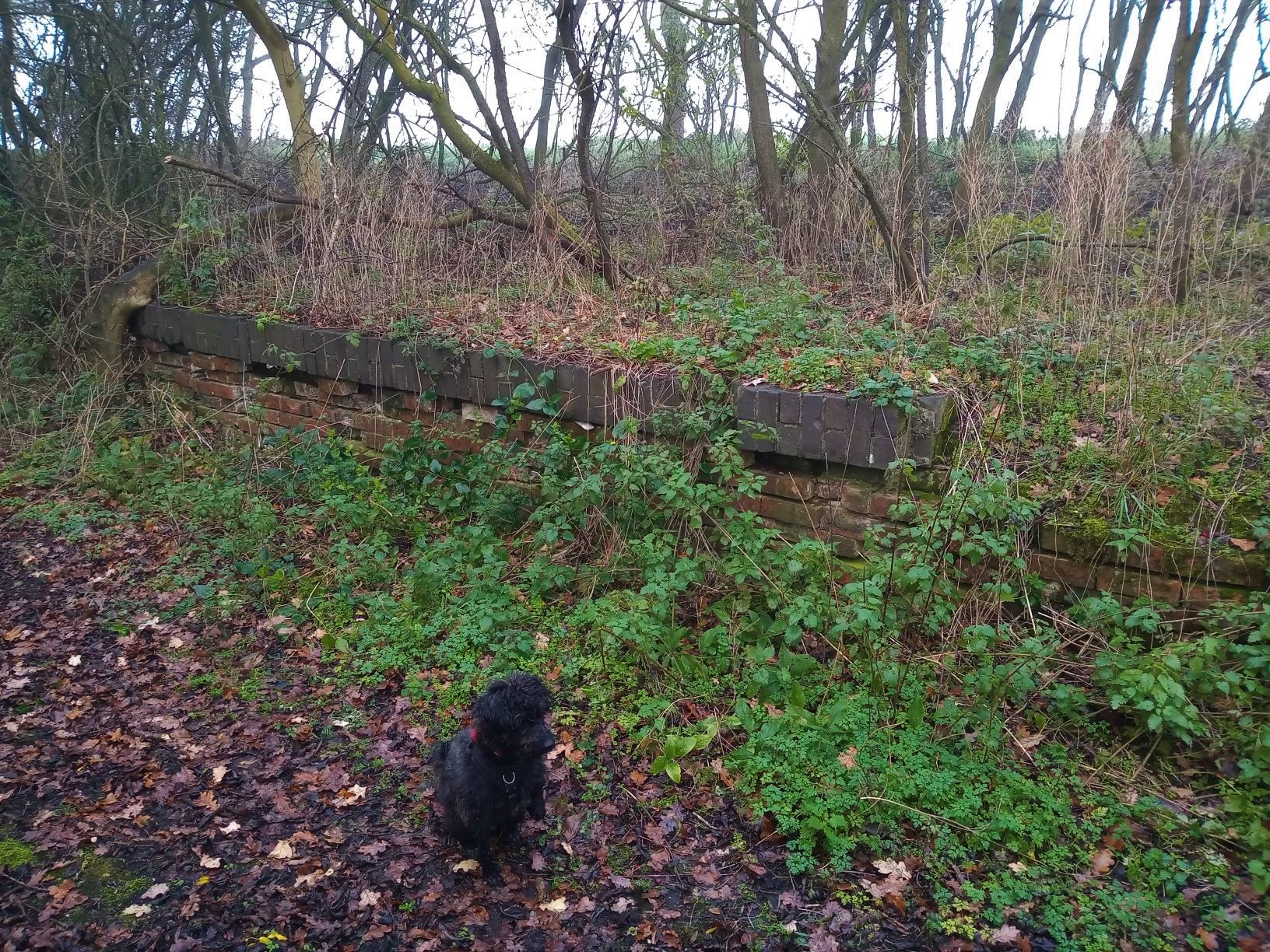 Salcey Forest Platform Remains