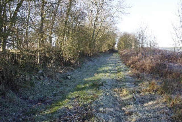 Salcey Forest Railway